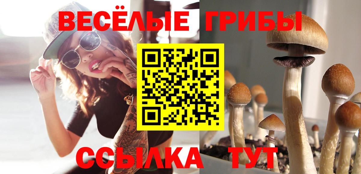 Азов  Псилоцибиновые грибы MAGIC MUSHROOMS  Вход с VPN  Псилоцибиновые грибы прущие грибы 